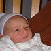 Patrick Nolan Photo 42