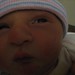 Thomas Siler Photo 15