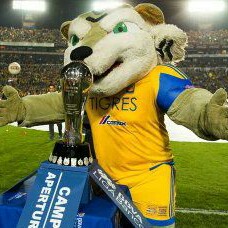 Ismael Mendez Photo 33
