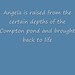 Angela Pond Photo 14