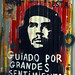 Armando Valladares Photo 17