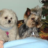 Debbie Skinner Photo 9