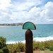 Mike Macgregor Photo 12