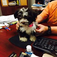 Cynthia Mashburn Photo 11