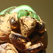 Jeff Busby Photo 38
