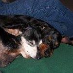 Joann Ebert Photo 5