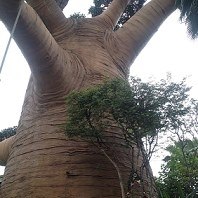 Nhan Huynh Photo 25