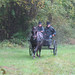 Jan Frick Photo 21
