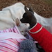 Jenny Akers Photo 15