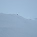 Dayle Scott Photo 14