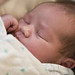 Aaron Matthews Photo 28