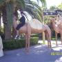 Carlos Silva Photo 15
