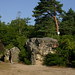 Robert Arnette Photo 7