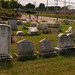 Mary Culp Photo 27