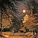Karen Lane Photo 10