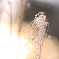 Shannon Summers Photo 22