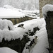 Michael Gatto Photo 18