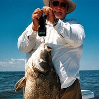 Gary Altman Photo 30