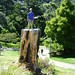 Thomas Stump Photo 20