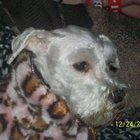 Sandra Greenfield Photo 22