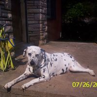 Sue Bledsoe Photo 11