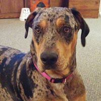 Debra Boyce Photo 25