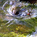 Don Weeks Photo 24
