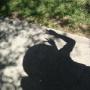 Joseph Roy Photo 27