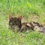 Cindy Yancey Photo 2