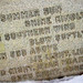 Susan Samuels Photo 19