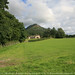 Thomas Fitzgerald Photo 29