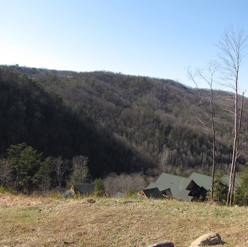 Ronald Moore Photo 21