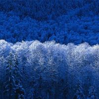 Frances Adams Photo 25
