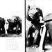 Robert Croner Photo 3