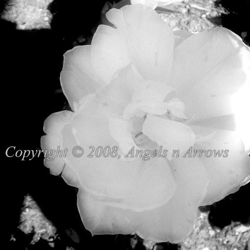 Beth Fletcher Photo 9