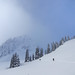 Carlyle Nelson Photo 9