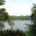Barbara Loveless Photo 8