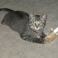 Deb Plummer Photo 14