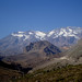 Jose Marmolejo Photo 21