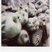Garland Stone Photo 10