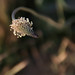 April Griffeth Photo 2