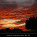 Victoria Strom Photo 16