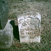 Jan Wright Photo 15