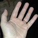 Allan Walker Photo 44