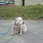 John Stumpf Photo 9