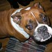 Jonathan Goins Photo 43
