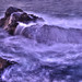 Mark Singh Photo 6