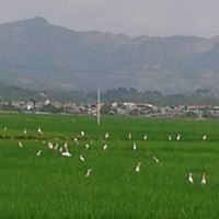 Hang Dinh Photo 19