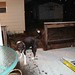 Teresa Pelham Photo 2