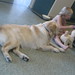 Christy Bailey Photo 10